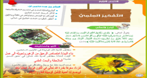 حل درس التفكير العلمي للصف السادس