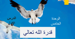 حل درس قدرة الله تعالى للصف السادس