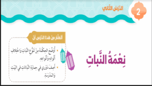 حل درس نعمة النبات للصف الثاني 241 حل درس نعمة النبات للصف الثاني