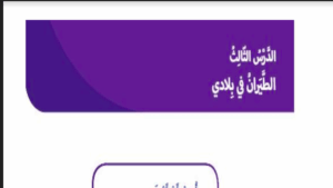 حل درس الطيران في بلادي للصف الثاني 234 حل درس الطيران في بلادي للصف الثاني