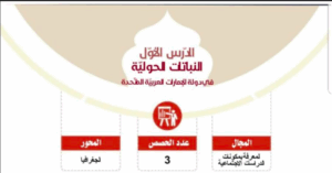 حل درس النباتات الحولية في دولة الإمارات للصف السادس