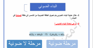 حل درس البناء الضوئي للصف العاشر