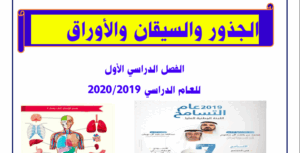 حل درس الجذور السيقان والاوراق للصف العاشر