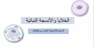 حل درس الخلايا والانسجة النباتية للصف العاشر