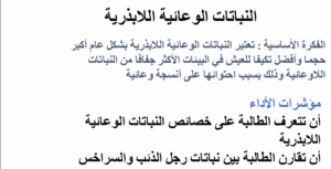 حل درس نباتات وعائية لا بذرية للصف العاشر