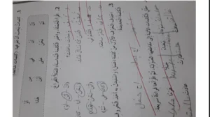 حل وحدة أشكال وأفكار لغة عربية صف ثاني فصل ثالث