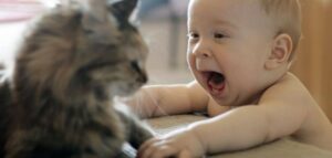 نص اقناعي عن تربية الحيوانات في المنزل