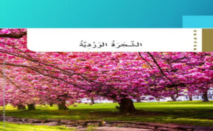 قصة الشجرة الوردية