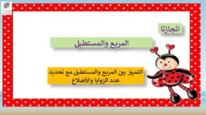 حل درس المربع و المستطيل رياضيات الصف الأول