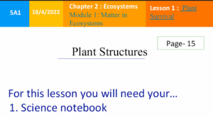 حل درس Plant Structures علوم خامس منهج انجليزي