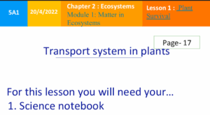 حل درس Transport System In Plants علوم خامس منهج انجليزي