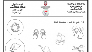 ورقة عمل أجزاء النبات