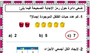اوراق عمل حساب للصف الاول