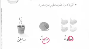 حل كتاب النشاط اللغة العربية للصف الأول الفصل الثاني