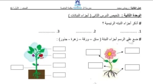 أوراق عمل الكائنات الحية وغير الحية