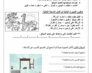 أوراق عمل الموقع والحركة علوم صف أول الفصل الثالث 159 أوراق عمل الموقع والحركة علوم صف أول الفصل الثالث