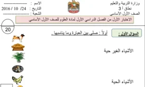 اختبار العلوم للصف الأول الفصل الأول
