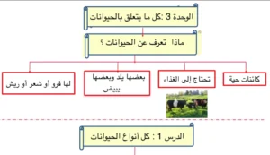 حل الوحدة الرابعة كل ما يتعلق بالحيوانات علوم صف أول