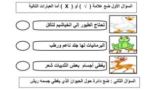 ورقة عمل الحيوانات تنمو وتتغير