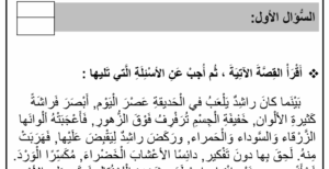 امتحان لغة عربية للصف الثالث الفصل الثالث