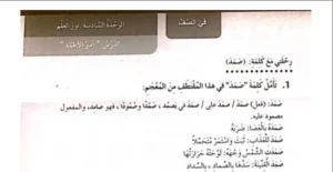 حل الوحدة السادسة نور العلم كتاب النشاط لغة عربية صف رابع