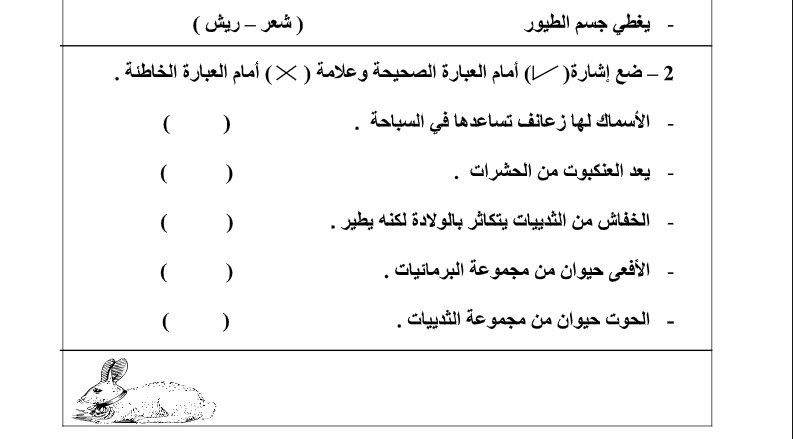 ورقة عمل درس أنواع الحيوانات 1 أهداف ورقة عمل درس أنواع الحيوانات