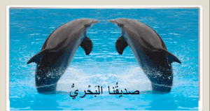 بوربوينت صديقنا البحري