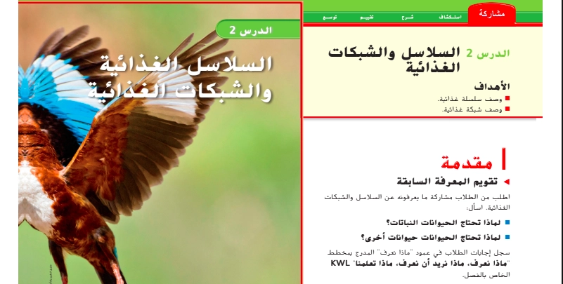 حل درس السلاسل الغذائية والشبكات الغذائية