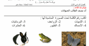 ورقة عمل تصنيف الحيوانات للاطفال 12 ورقة عمل تصنيف الحيوانات للاطفال