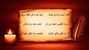 شرح قصيدة الناس والزمان