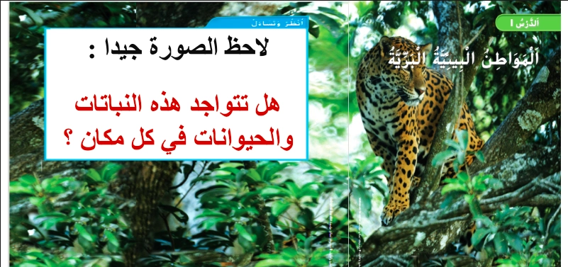 الاستكشاف