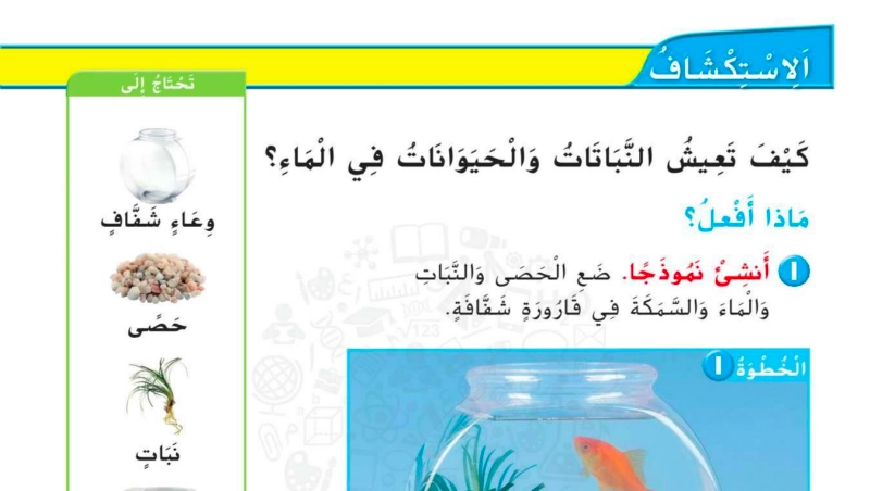 تقويم المعرفة السابقة