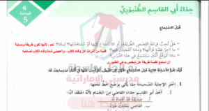 حل درس حذاء ابي القاسم الطنبوري للصف السادس