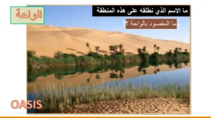 حل درس واحات العين تاريخها ومكوناتها اجتماعيات حادي عشر