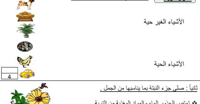 التقويم الأول علوم صف أول فصل اول التقويم الأول علوم صف أول فصل اول