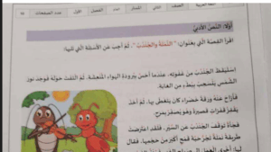 امتحان نهاية الفصل الاول اللغة العربية للصف الثاني 17 امتحان نهاية الفصل الاول اللغة العربية للصف الثاني
