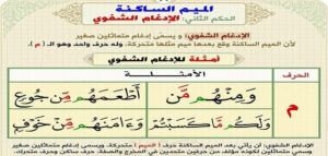 أمثلة على أحكام الميم الساكنة 16 أمثلة على أحكام الميم الساكنة
