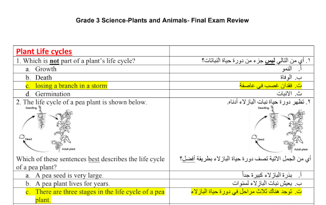 أوراق عمل Plants and Animals العلوم المتكاملة الصف الثالث
