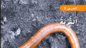 حل درس التربة للصف الثاني 64 حل درس التربة للصف الثاني