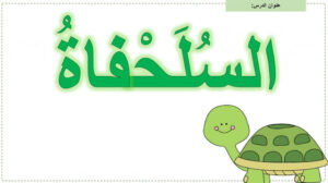حل درس السلحفاة للصف الثاني 157 حل درس السلحفاة للصف الثاني