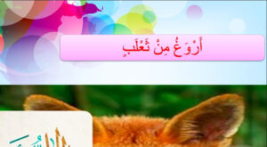 حل درس أروغ من ثعلب للصف الثالث
