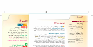 حل درس تناسخ DNA للصف التاسع متقدم
