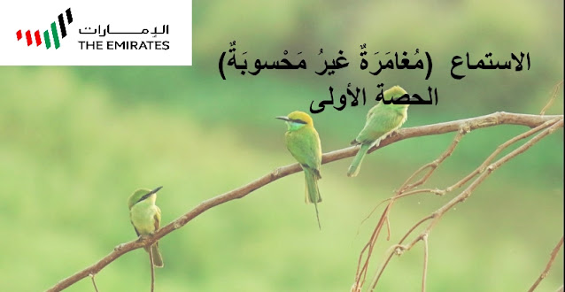 حل درس مغامرة غير محسوبة للصف الخامس