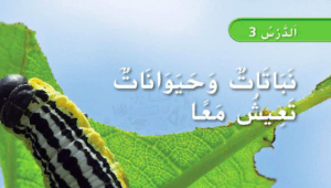 حل درس نباتات وحيوانات تعيش معا للصف الاول 82 حل درس نباتات وحيوانات تعيش معا للصف الاول