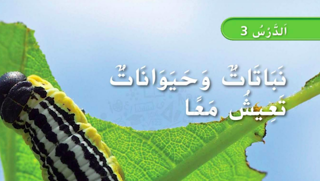 حل درس نباتات وحيوانات تعيش معا للصف الاول 1 حل درس نباتات وحيوانات تعيش معا للصف الاول