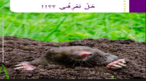 حل درس هل تعرفنى للصف الثاني 180 حل درس هل تعرفنى للصف الثاني