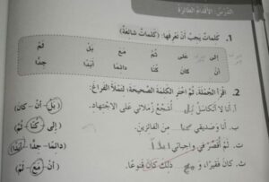 حل كتاب النشاط اللغة العربية للصف الثالث الفصل الأول 31 حل كتاب النشاط اللغة العربية للصف الثالث الفصل الأول