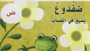 حل درس ضفدوع يضيع في الضباب للصف الاول 101 حل درس ضفدوع يضيع في الضباب للصف الاول