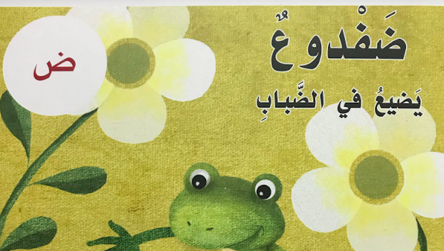 حل درس ضفدوع يضيع في الضباب للصف الاول