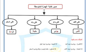 ورقة عمل الهمزة المتوسطة على الواو